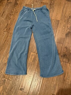 Z SUPPLY Hunter Knit Denim Pant Calypso Blue Indigo Women’s L